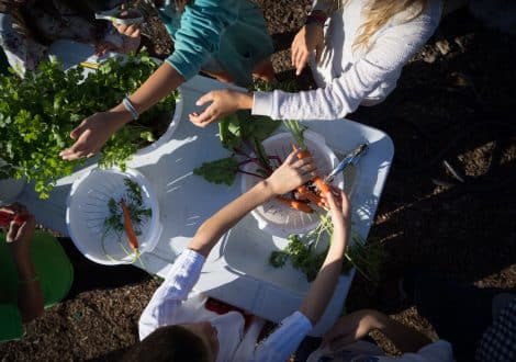 community garden