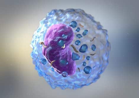 fasting cells