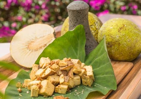 breadfruit hawaiian ulu