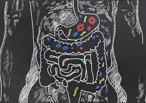 gut health