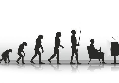 evolution sitting