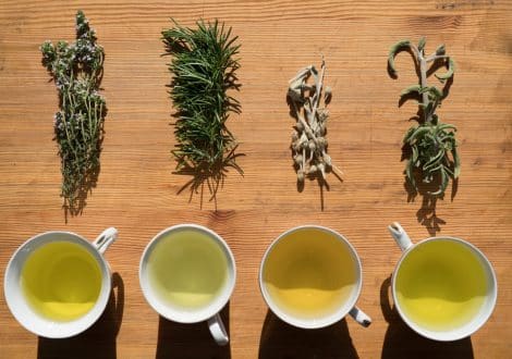 tea longevity beverage