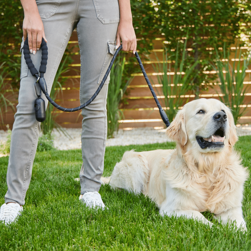 BAAPET 5 ft Strong Dog Leash Photo