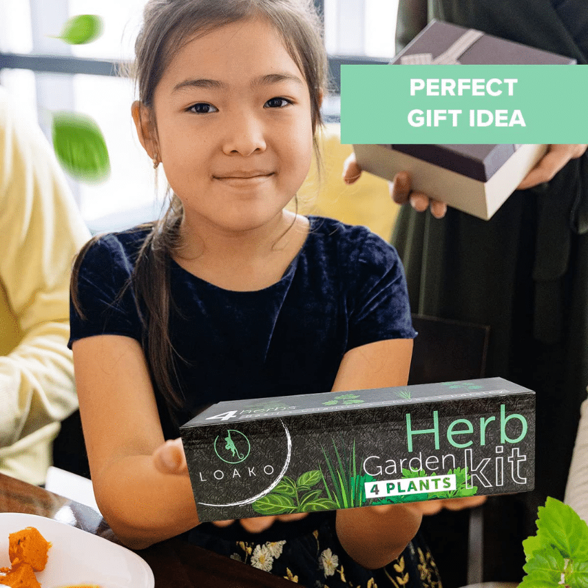 Indoor Herb Garden Kit Photo