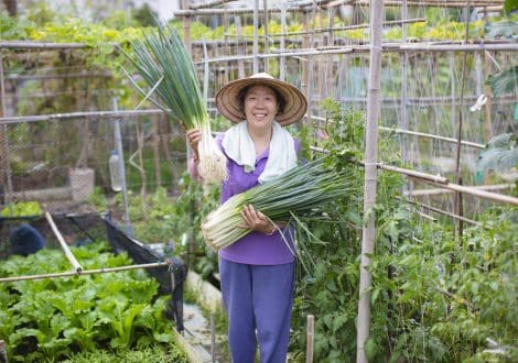 gardening for beginners