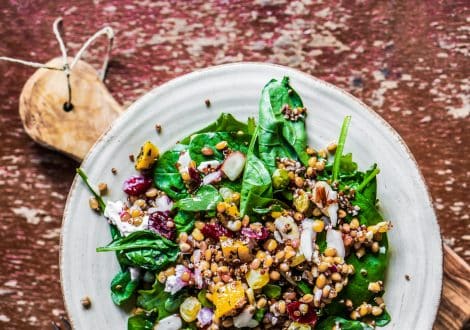 gut health fiber