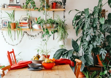 brina blum RNBxppNpAPc unsplash scaled